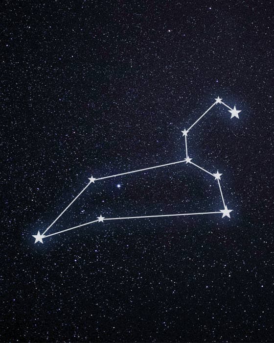 Family Constellation